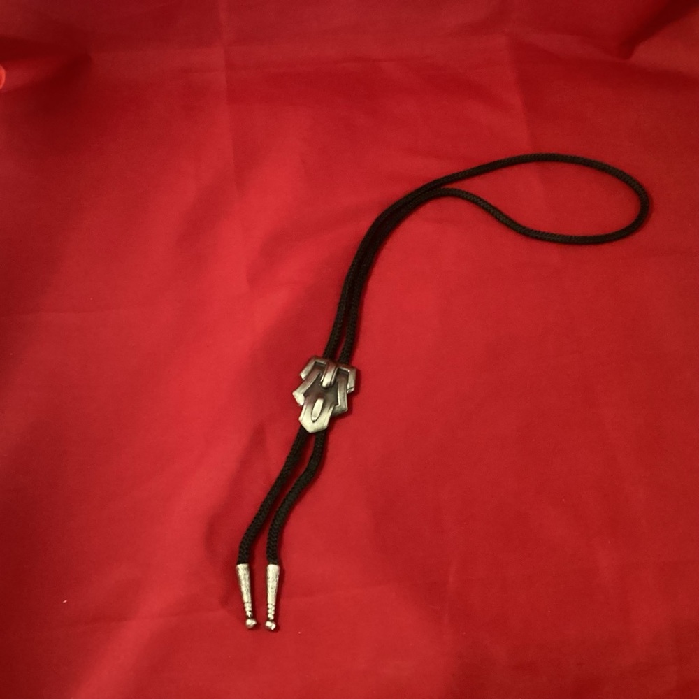 Silver tone metallic bolo tie